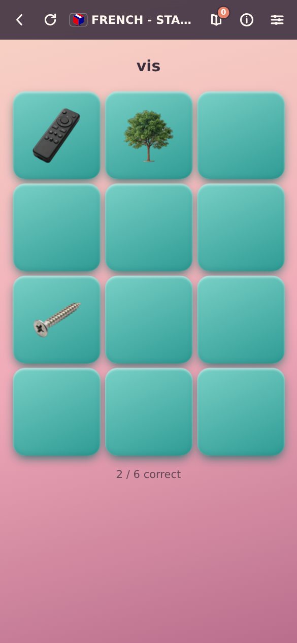 TapMagic asking the player to find the French word vis among picture tiles